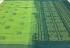 SAREES SALEM 80S WITH BLOUSE
